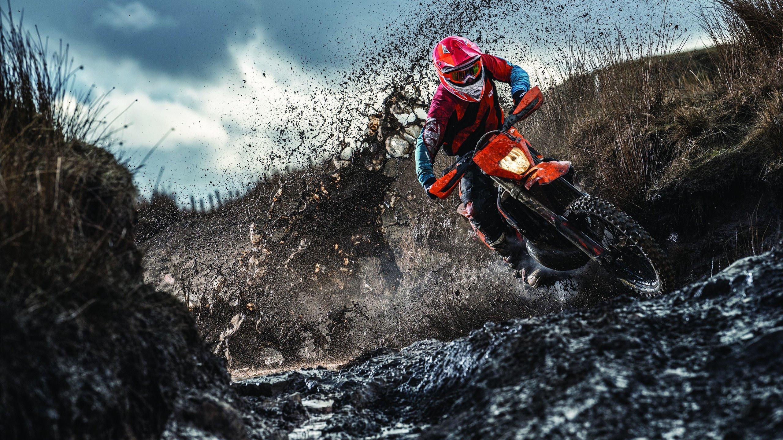 中小学体育课程多样化发展探讨，中小学体育课程教学改革