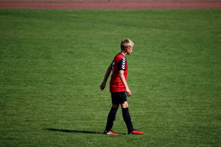 华体会官网登录-世界青年滑板锦标赛中国少年夺奖，青少年滑板联赛